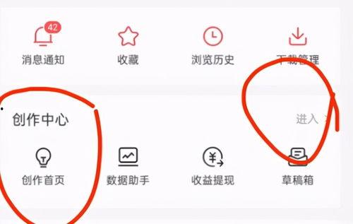 头条开通玫瑰权益,畅享头条尊贵体验！