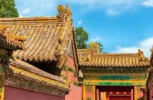 故宫小姐姐网红叫什么,网络红人的魅力之旅