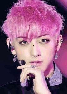 粉头发明星,揭秘那些闪耀舞台的粉发明星风采