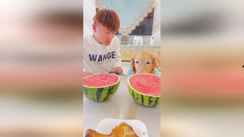 每日必吃大瓜-今日大赛,今日大赛精彩回顾