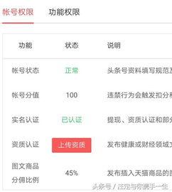 头条号共有多少作者注册,揭秘内容创作者生态圈”
