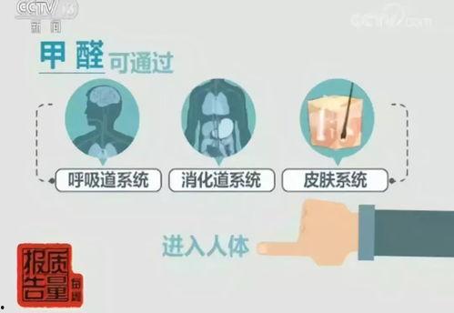 网红检测甲醛,守护健康生活新篇章