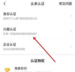 头条职业认证会查么嘛,揭秘平台审核机制，确保专业认证权威性