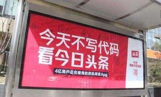 广东阳春今日头条农村,聚焦乡村振兴，展现乡村新面貌