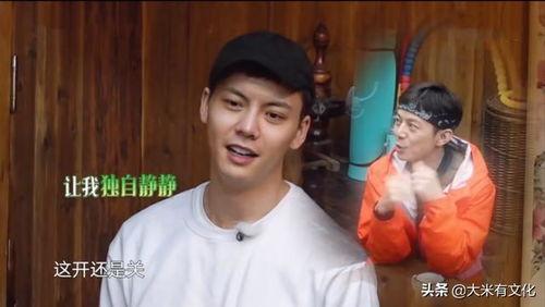 盘点综艺吃瓜,揭秘明星幕后故事