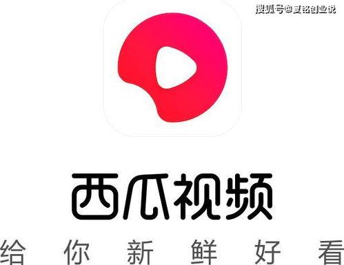 西瓜头条公司,引领资讯新潮流，打造智能阅读新时代