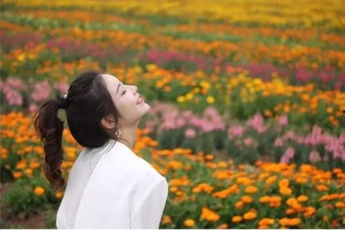 岳池有没有明星,明星汇聚之地，星光熠熠的璀璨之城