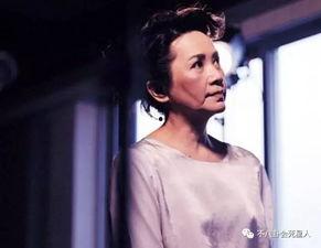 身世凄凉明星,逆境中崛起的璀璨明星