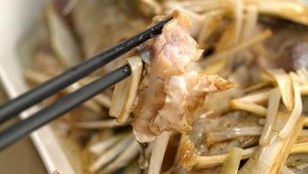 网红鲤鱼胖子照片,网络红人的魅力与争议