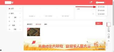 头条号账号等级怎么查,X级，揭秘如何提升账号影响力】