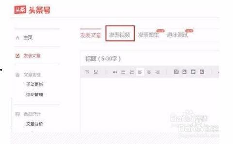 在哪能看自己的头条,如何轻松查看个人今日头条动态