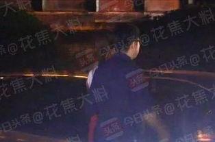 藏龙岛今日爆料,神秘事件揭开神秘面纱