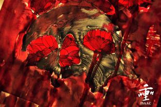 二虎爆料血莲花视频大全,血莲花视频大全背后的惊人真相